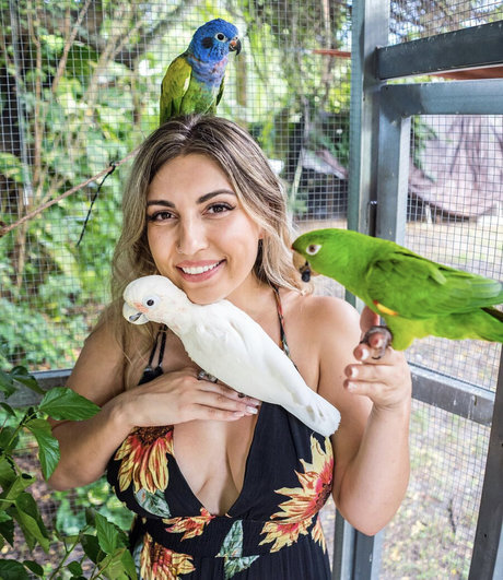 Gabby Nikolle top actress images