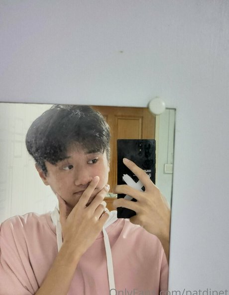 patdipet art star pic