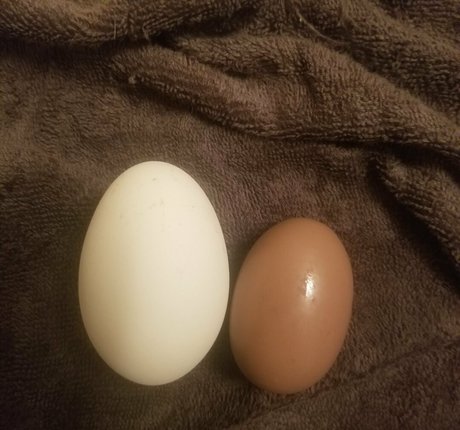 asmr ginger onlyfans free sexy photo