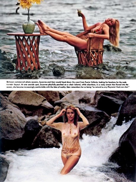 Suzanne Somers best star pic