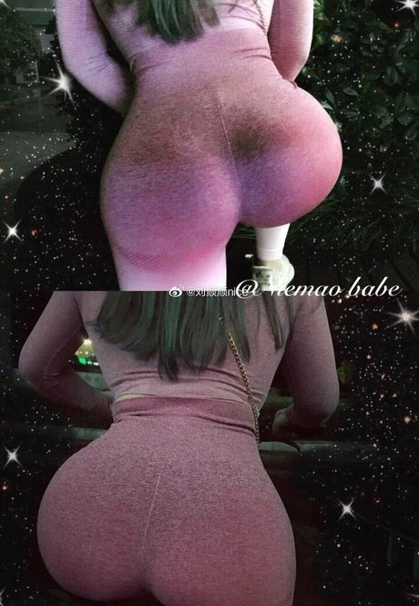 yuxin cccc art star galleries