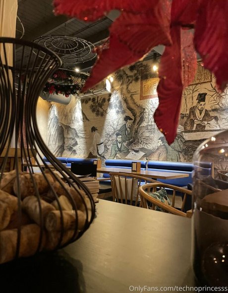 technoprincesss model nudes images