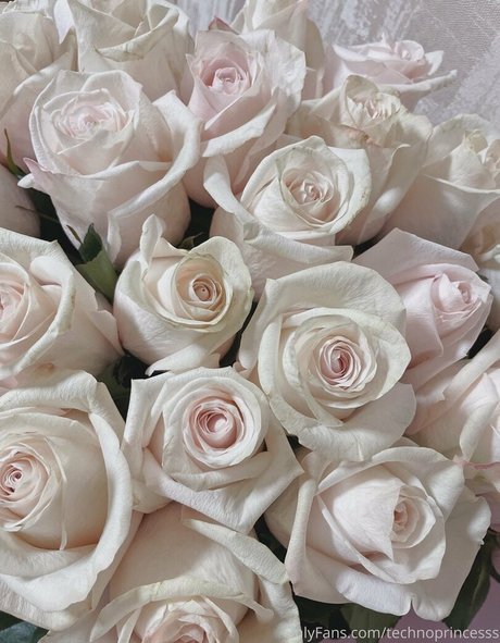 technoprincesss high quality pornstar pictures