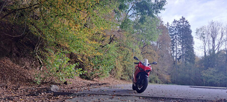 Tonio free star photos