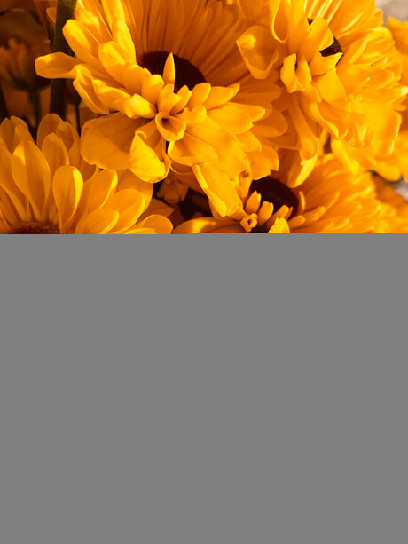 Desi Grace model hot gallery