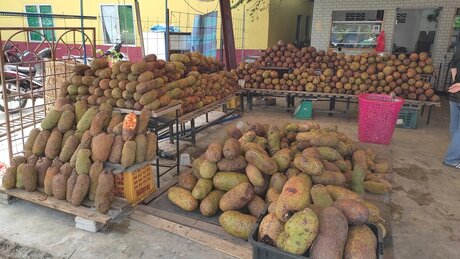 japanese teen onlyfans sex photos