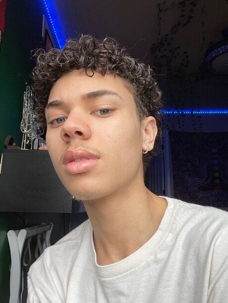 il lustrious star adult gallery