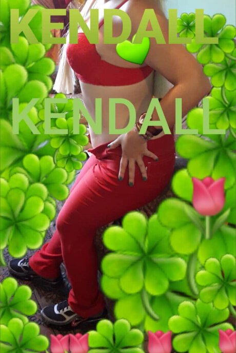 KENDALL art star pictures