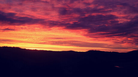 Astrogirl269 pretty pornstar image