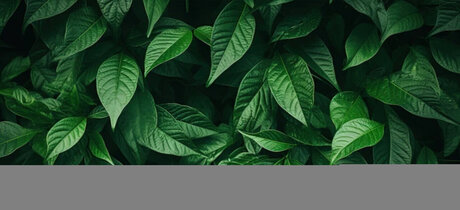 Soul Dream exclusive pornstar galleries