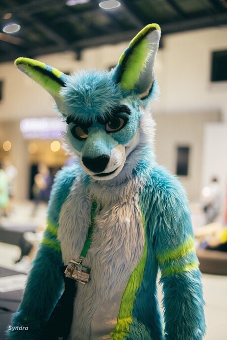 TechRoo and Zoomy pornstar sex pictures