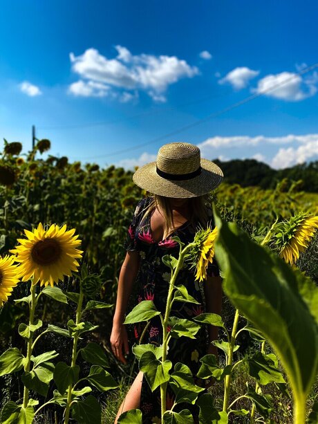 Elereal hd model archive