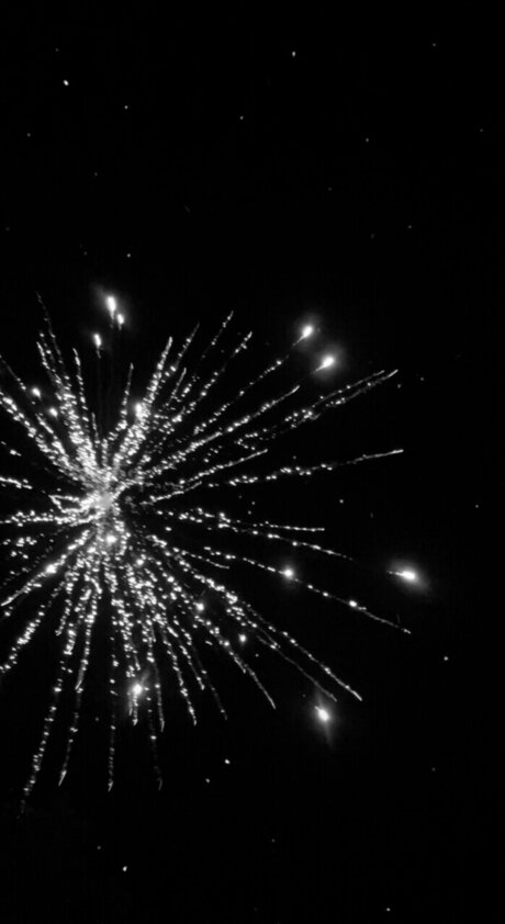 Leopard Queen beautiful pornstar gallery