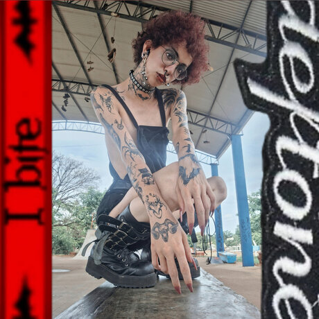 BatCat perfect star pic