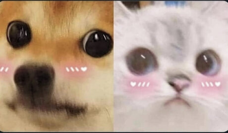 Sugar Rush_ model adult photos