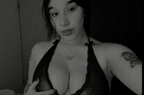 amywinos top star galleries