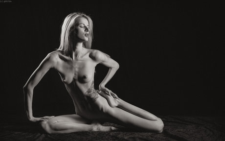 DinaCat adult model picture