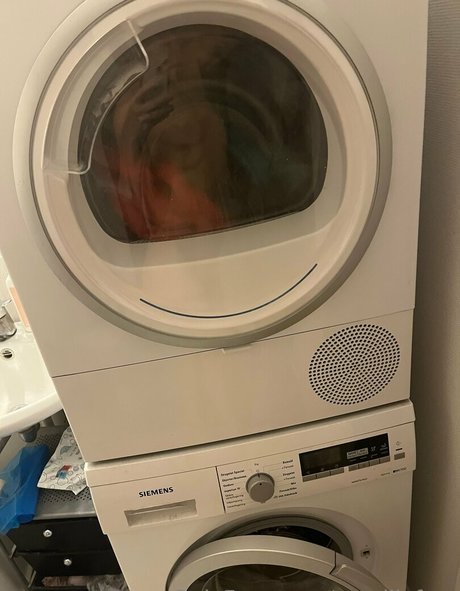 xamillafree erotic pornstar archive