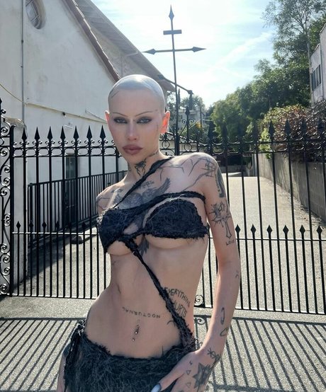 Siiickbrain star gallery