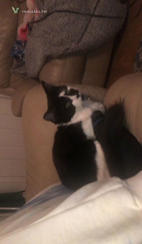 Vicky Escobar adult model pics