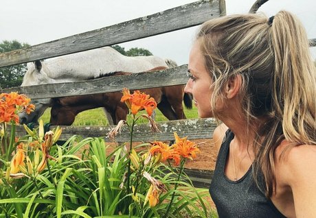 shellyrock model top image