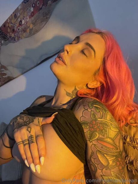 Theamandajean xxx actress galleries