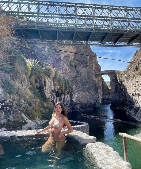 Bribaebee star hot image