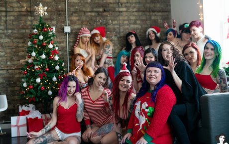 Sierhaus hd model archive