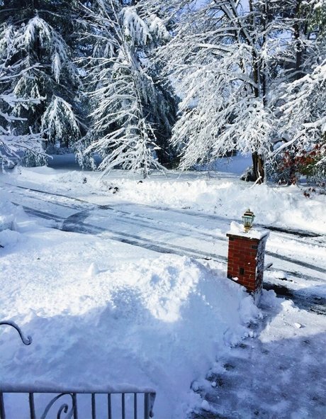 Lizzy Decologero star nude photos