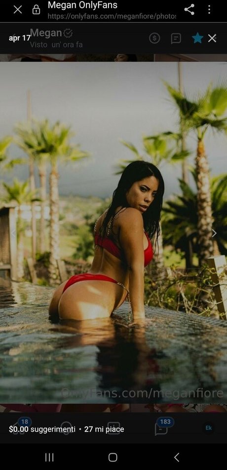 Sonia Maggio model top picture