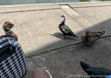 teen lingerie onlyfans beautiful nude images