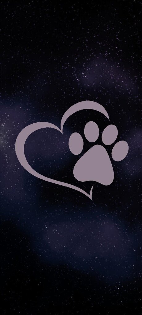 Queenwolf 12 nice star archive