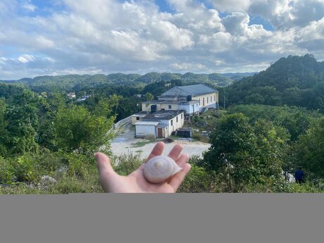 _h t g mpr_ star art photos