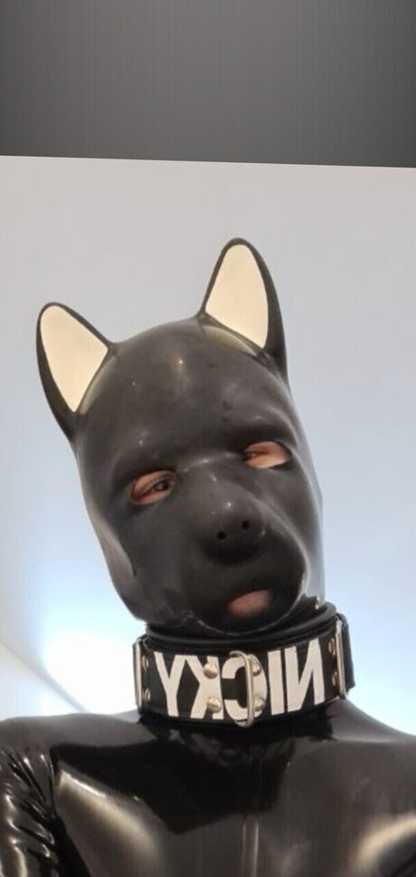 PupNicky naked star archive