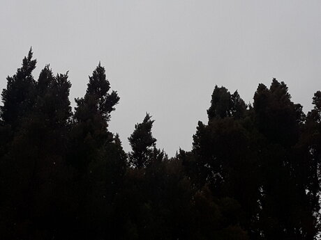 ChemicalXBoy pretty model photo