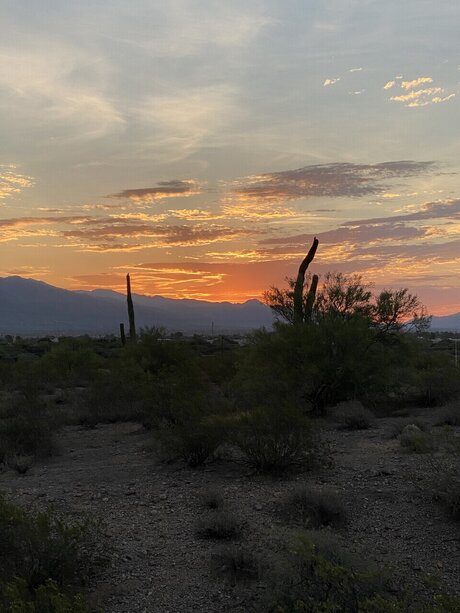 HappyCoupleVixen pornstar beautiful pictures