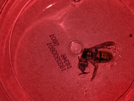 Terragrams best actress galleries