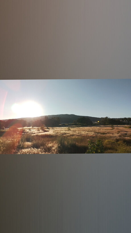 Jos Buenrostro porn actress archive