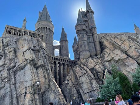 Damien Strokes perfect star gallery