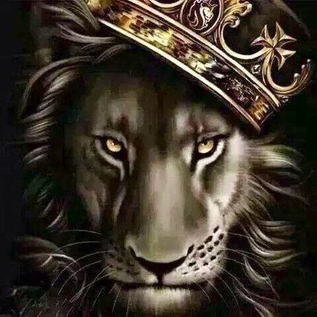 dominic steele star sex galleries