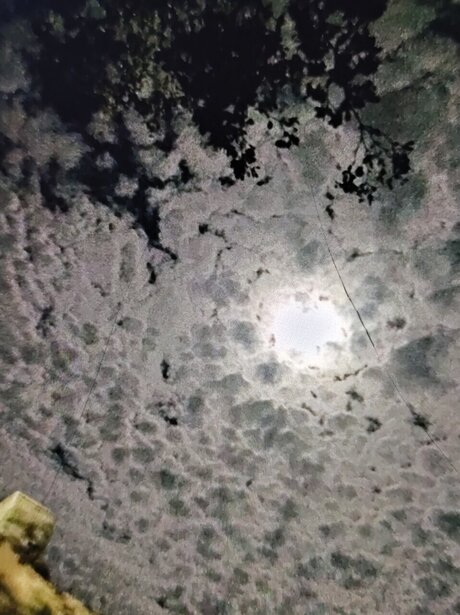 Hellie_ pornographic star galleries