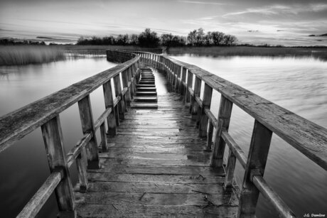 the masked girl star nice img