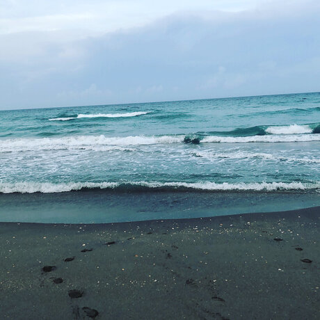 Rene Cawston pornstar naked image