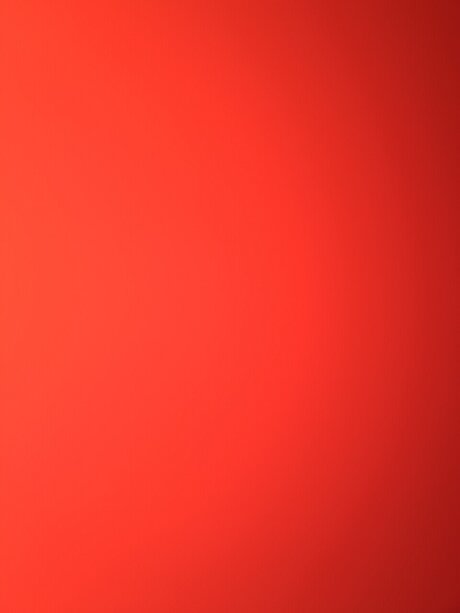 u8731161 star naked img