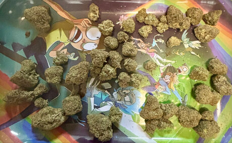 Dat Guy Remy Monty pornstar adult archive