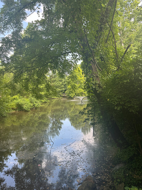 The Gold Goddess star pictures