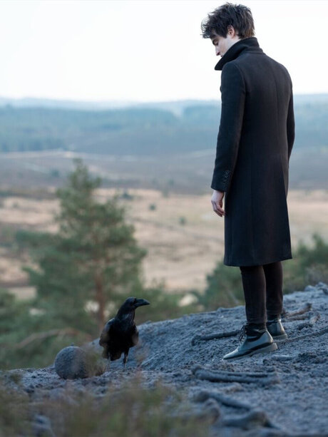 Mr White perfect star picture