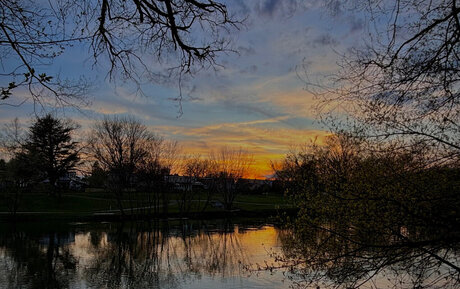 Natalie Presley best star archive