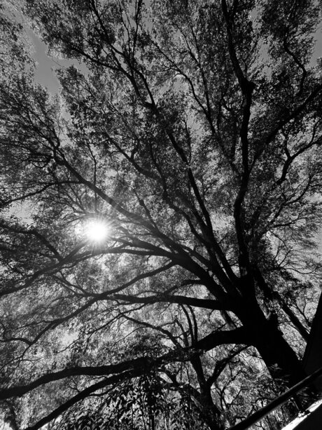 retr04ctive sexy model img