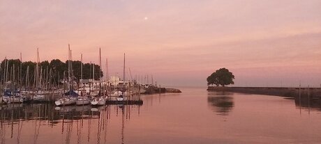 bodybuilder nude onlyfans pornographic images